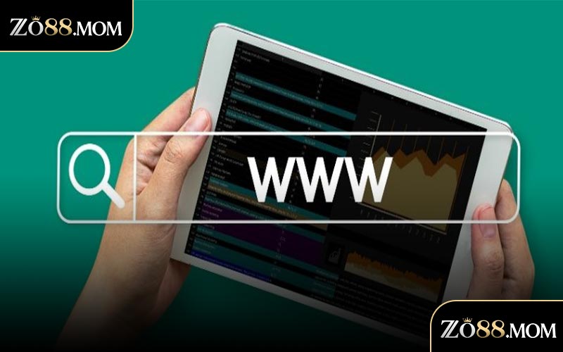 Cách thức giải quyết khi không thể vào web