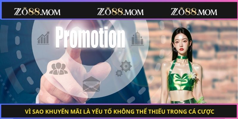 Vì sao khuyến mãi là yếu tố không thể thiếu trong cá cược